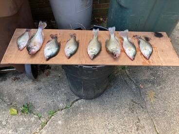 Randleman Report Photo 2