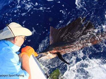 Quepos Report Photo 2