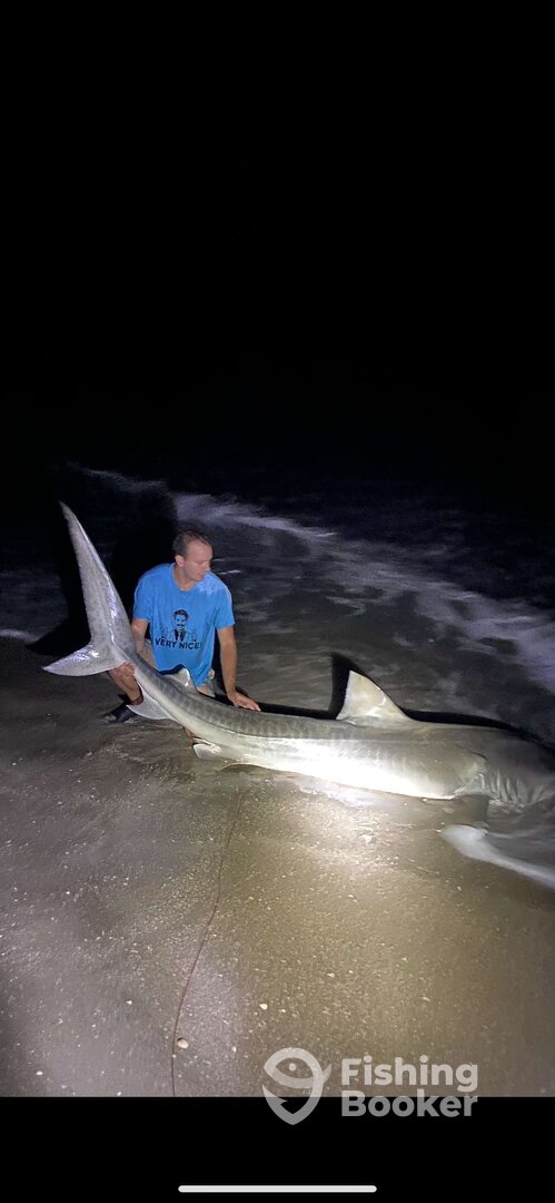 St. Pete Beach Report Photo 0