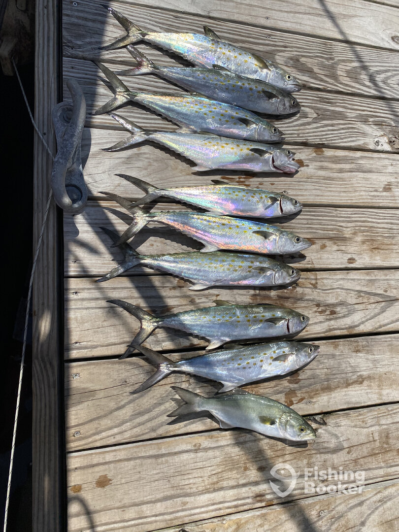 North Myrtle Beach Report Photo 0