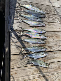 5 hour spanish trolling