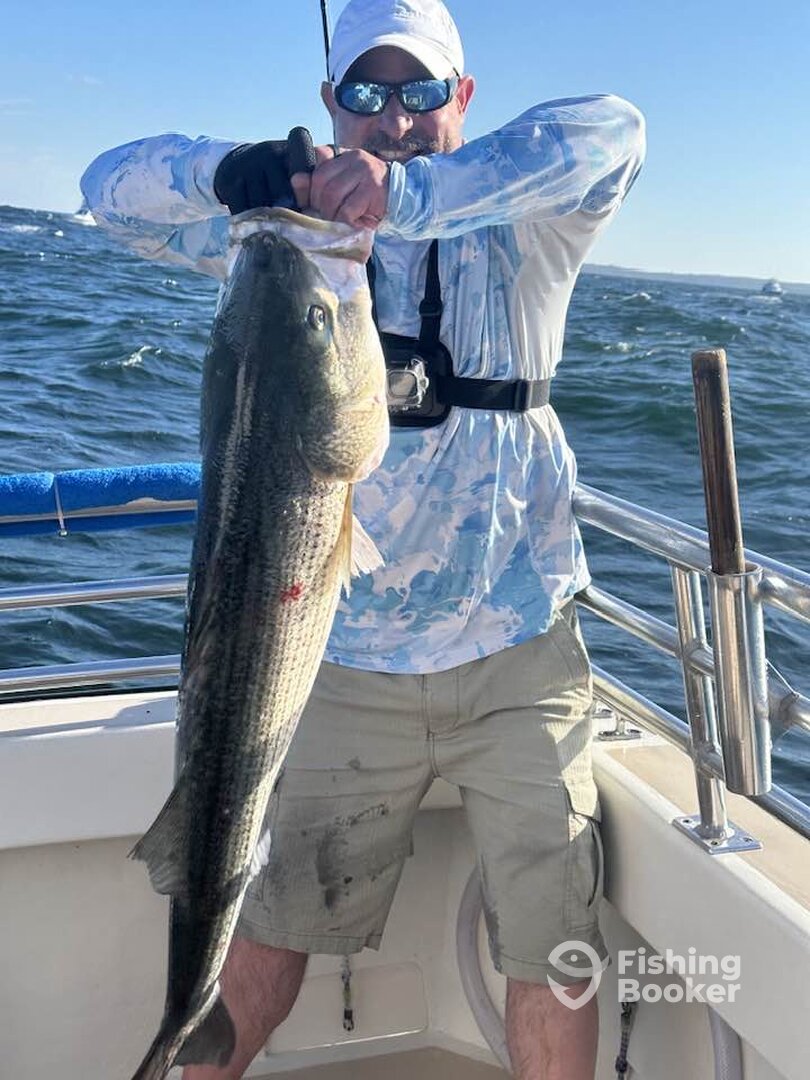 Montauk Report Photo 0