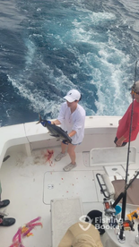 Quepos Report Photo 2