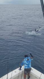 Sailfish, Dorado & Tuna Kept Anglers Act