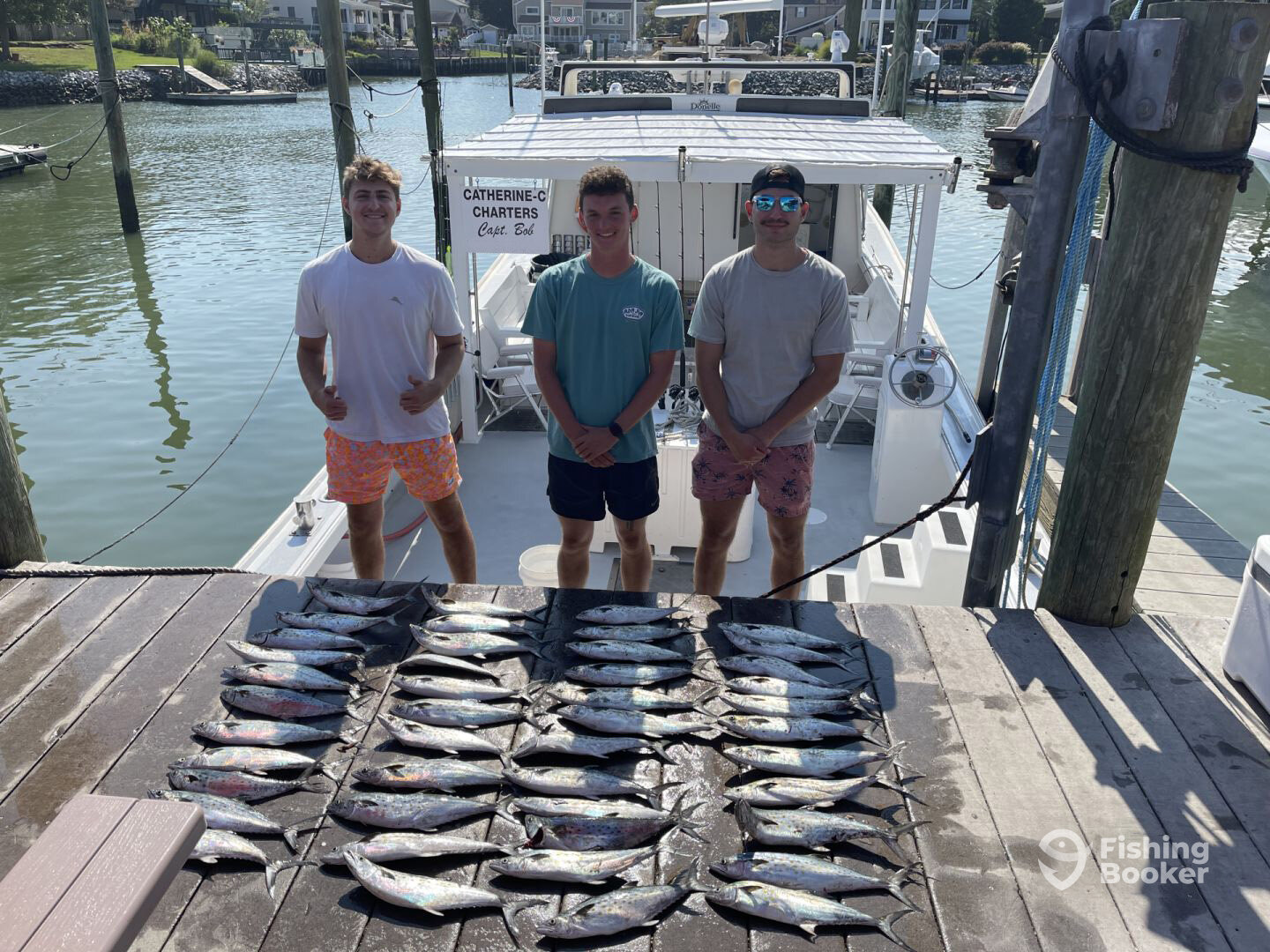 Virginia Beach Report Photo 0