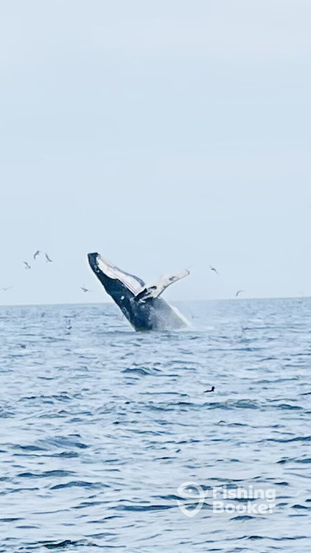 Truro Report Photo 0