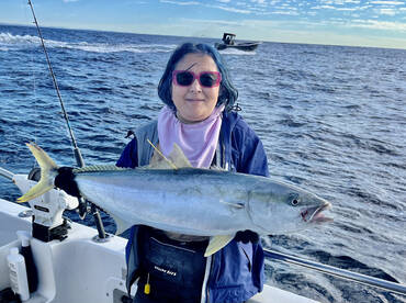 Sydney Report Photo 2