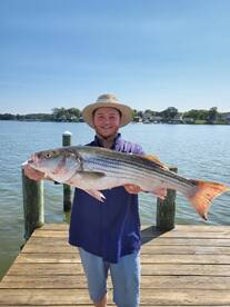 Baltimore Report Photo 1