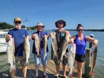 Baltimore Report Photo 2