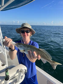 Belleair Bluffs Report Photo 2