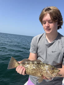 Belleair Bluffs Report Photo 1