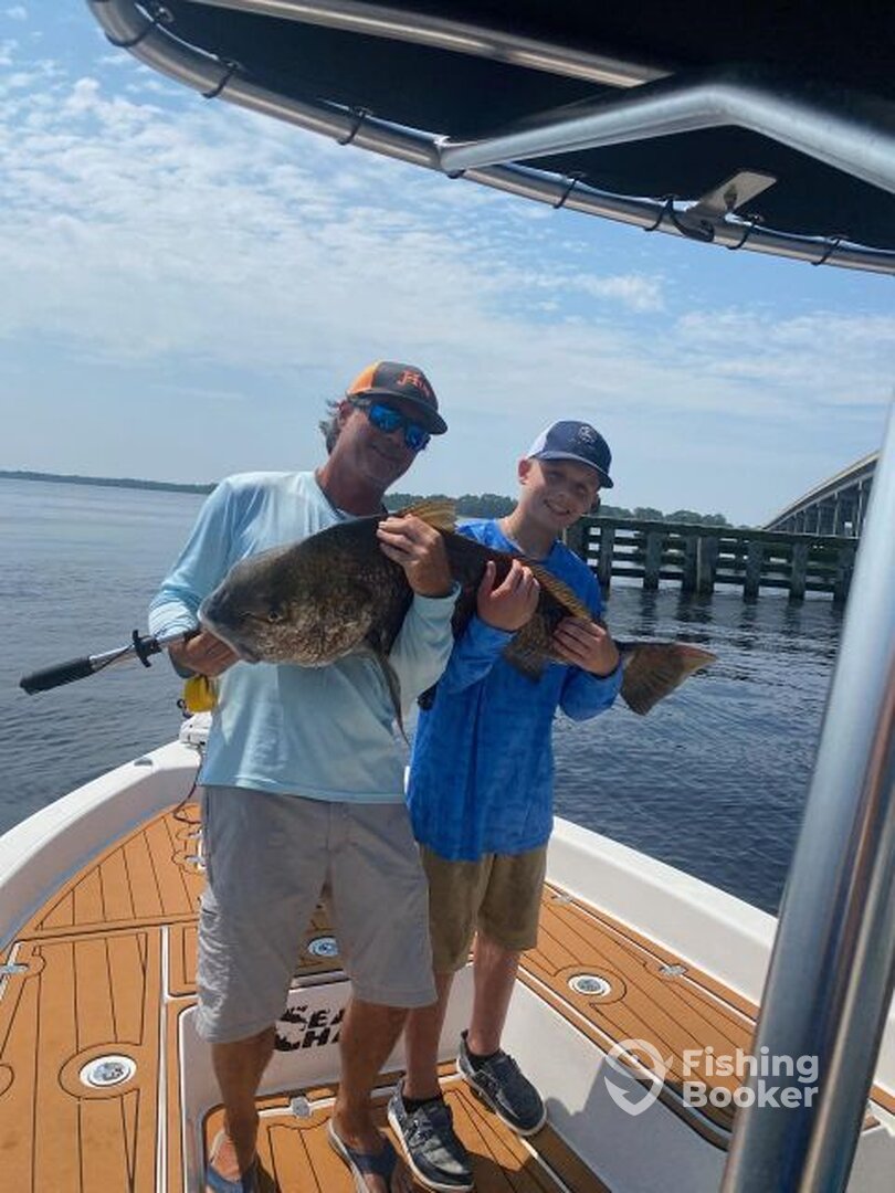 Panacea Report Photo 0