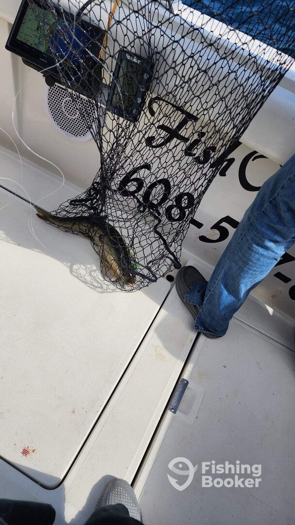 Sheboygan Report Photo 0