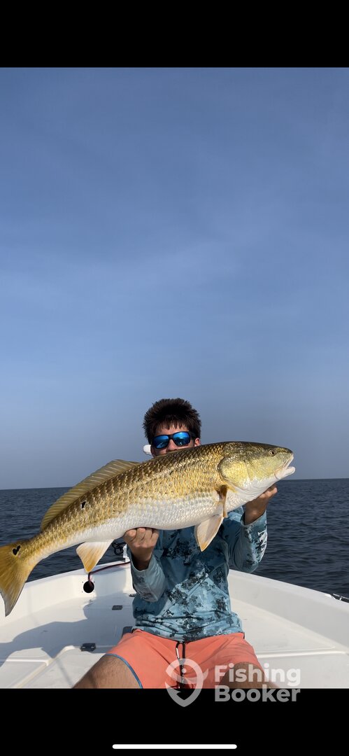 Fairhope Report Photo 0