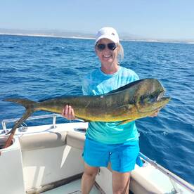 Cabo San Lucas Report Photo 1