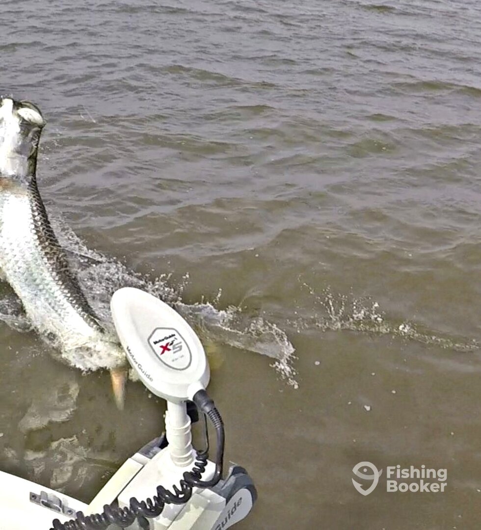 Georgetown Report Photo 0