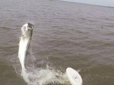 Georgetown Report Photo 1