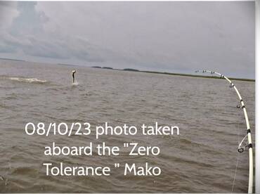 Georgetown Report Photo 2