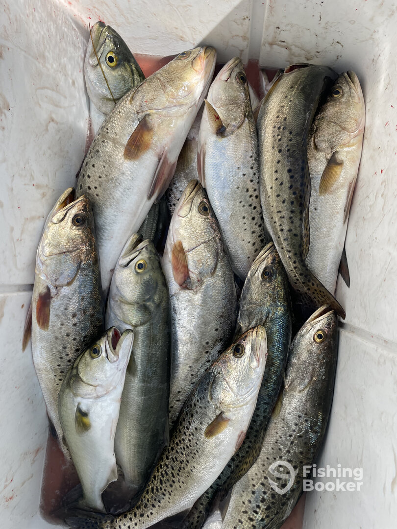 Nags Head Report Photo 0