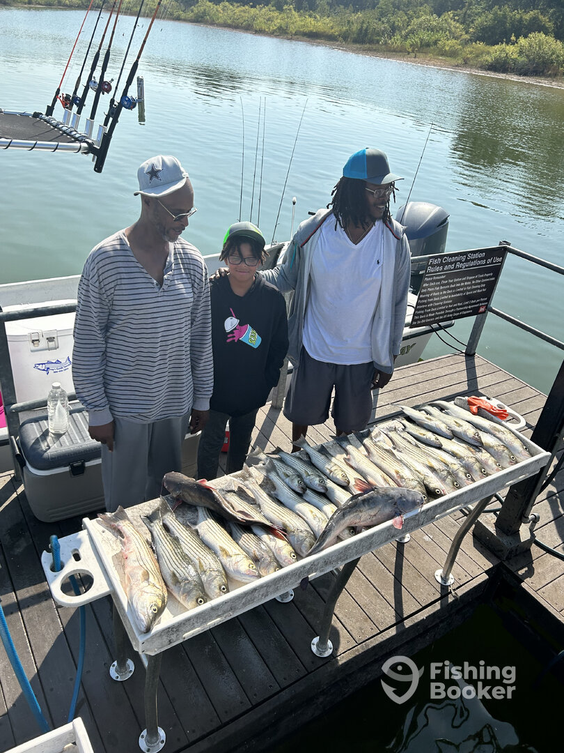 Kingston Report Photo 0