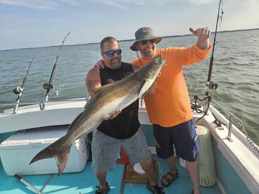 Solomons Report Photo 2