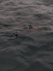 San Diego Report Photo 1