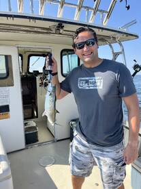 Bellevue Report Photo 2