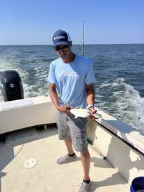 Bellevue Report Photo 1