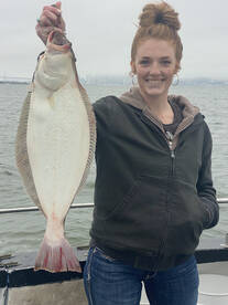 San Francisco Report Photo 1