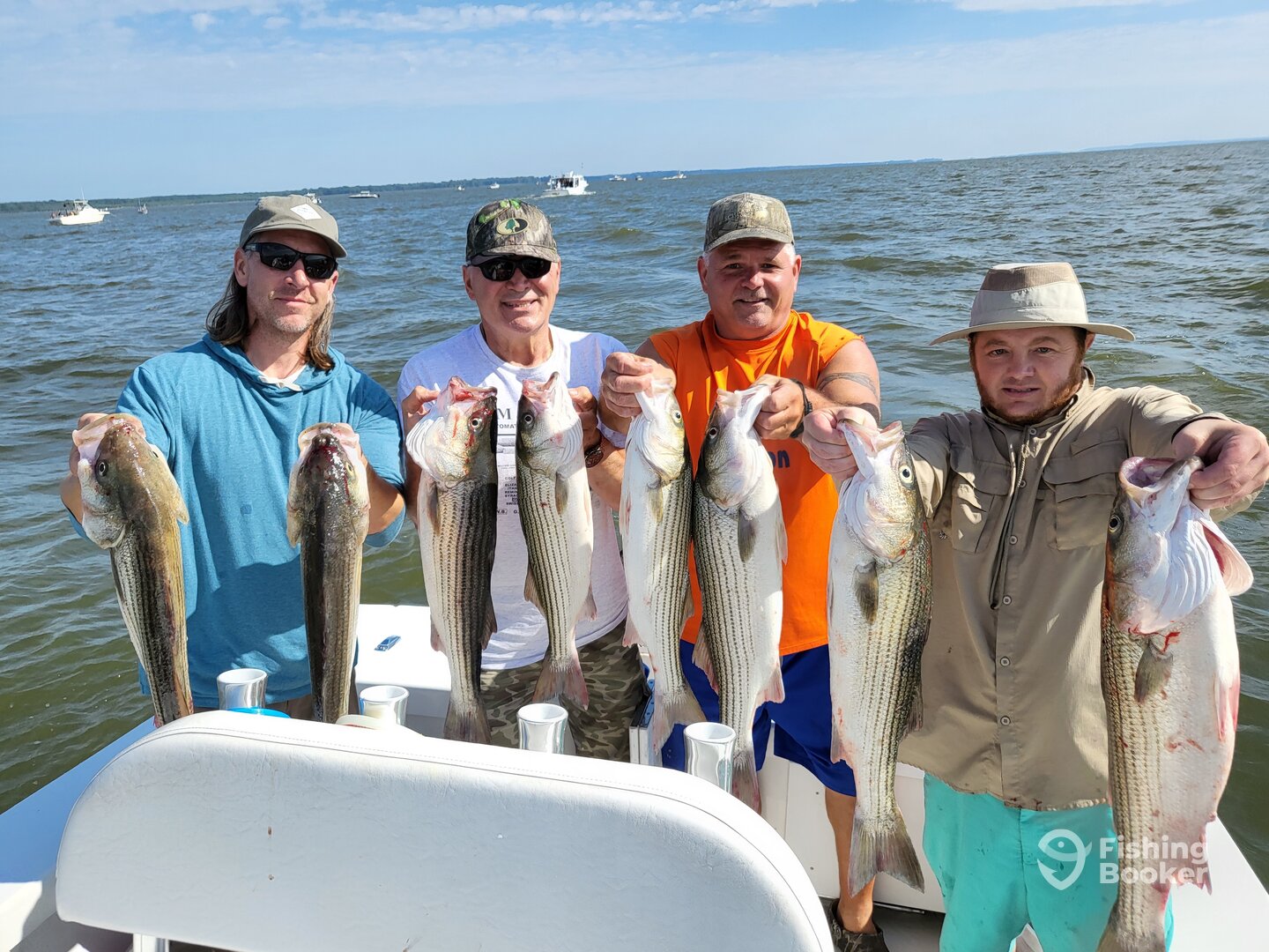 Baltimore Report Photo 0