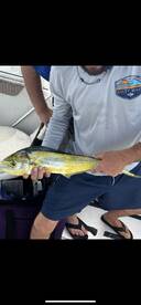 North Myrtle Beach Report Photo 2