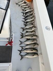 Ridge Report Photo 2