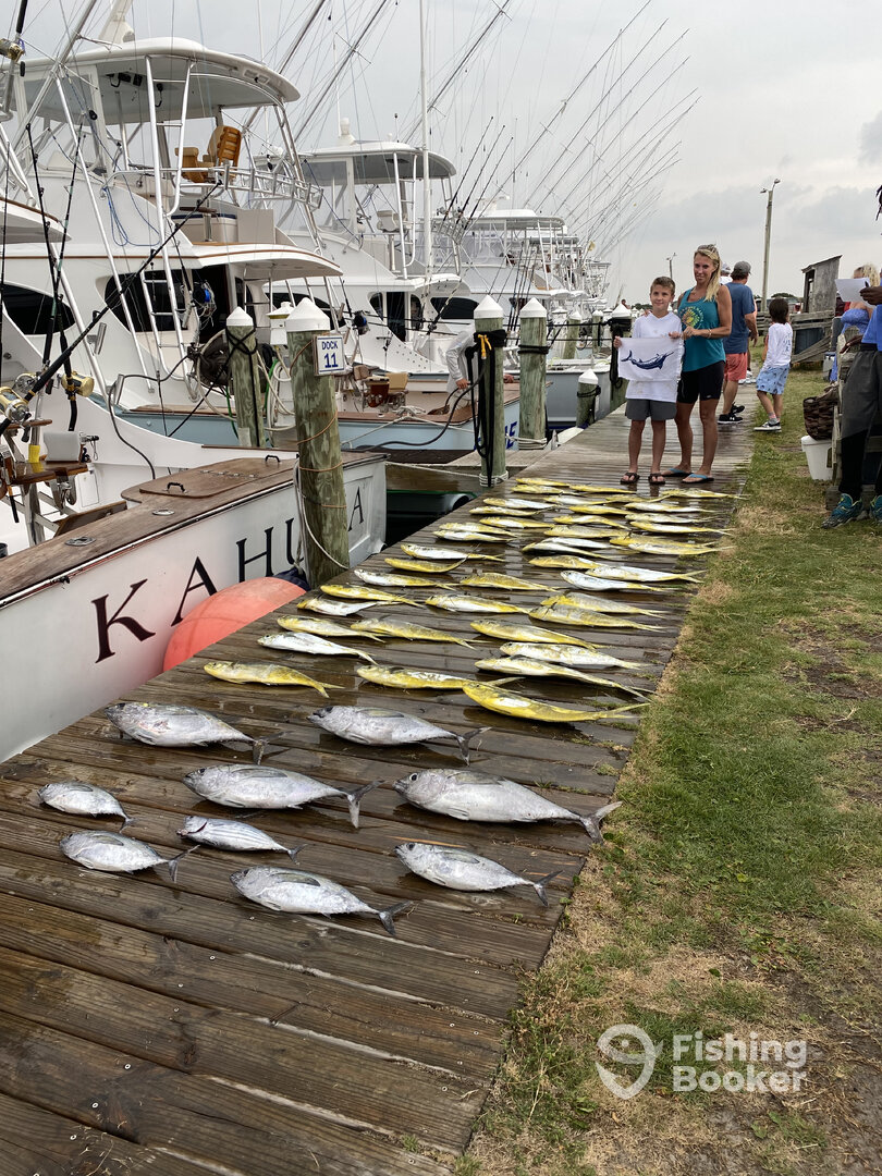 Nags Head Report Photo 0