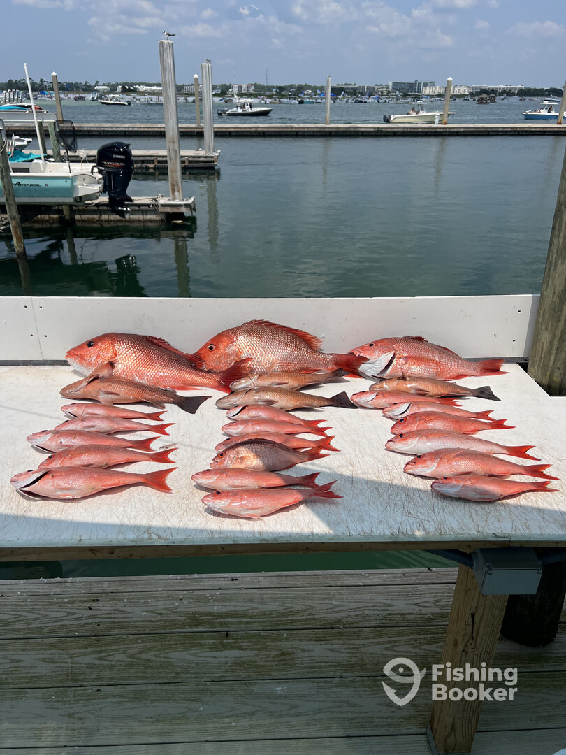 Orange Beach Report Photo 0