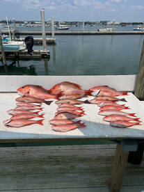 August Nearshore trip!