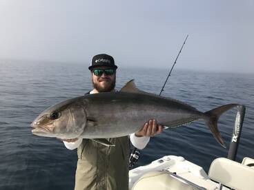 Sarasota Report Photo 2