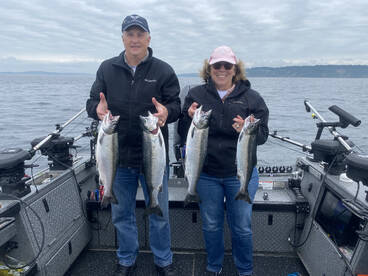 Puget sound fall coho 
