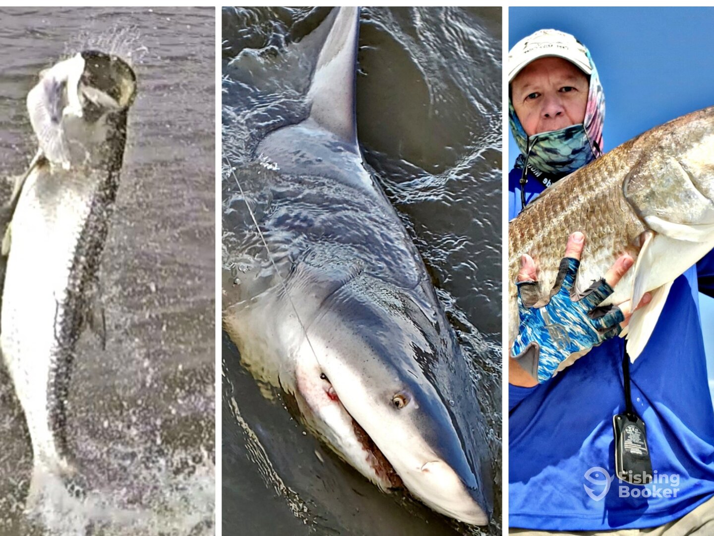 Georgetown Report Photo 0