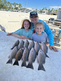 Orange Beach Report Photo 1