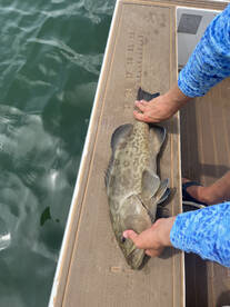 St. Petersburg Report Photo 2