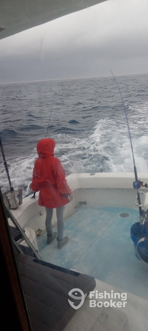 West Palm Beach Report Photo 0