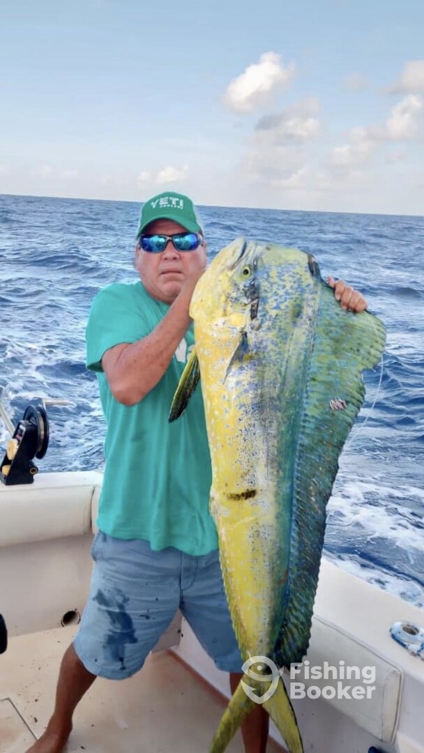 San Miguel De Cozumel Report Photo 0