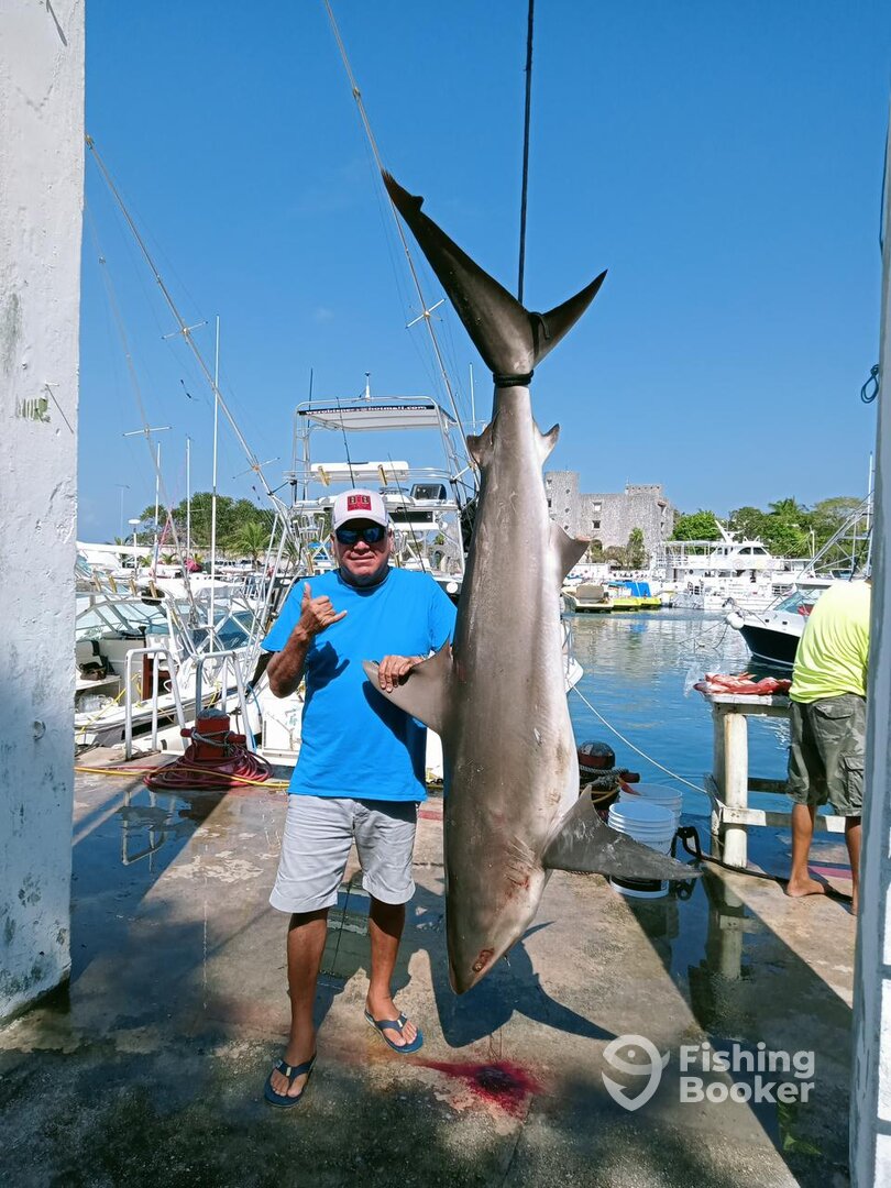 San Miguel De Cozumel Report Photo 0