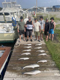 Blue marlin and some tile fish 
