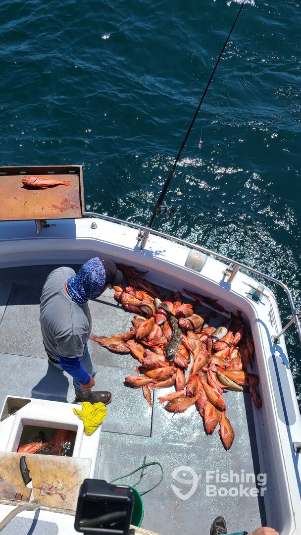 Ensenada Report Photo 0