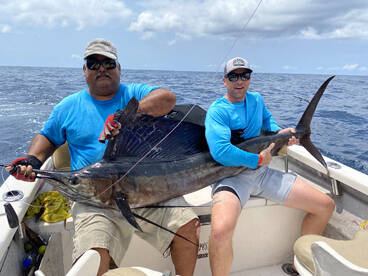 Puerto Vallarta Report Photo 2