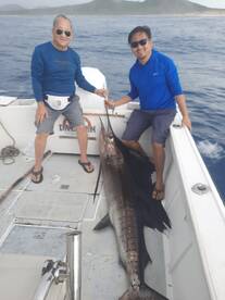 San Jose del Cabo Report Photo 1