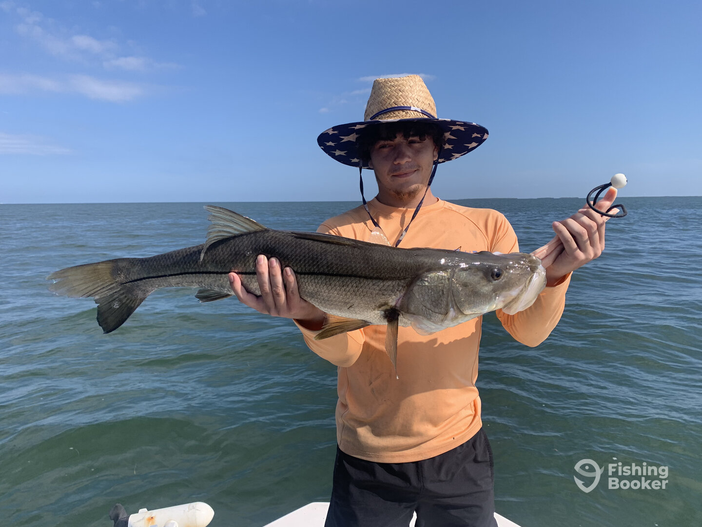 Spring Hill Report Photo 0