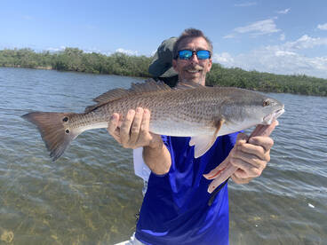 Spring Hill Report Photo 2