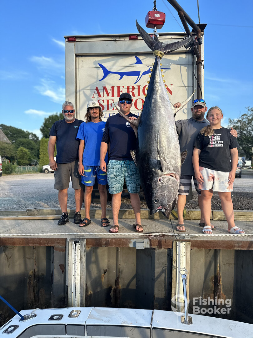 Stonington Report Photo 0